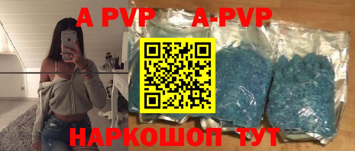 A-PVP СК КРИС Лесосибирск