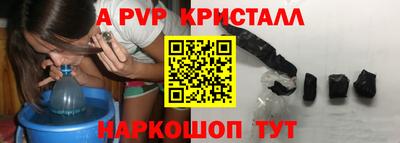 СК Донецк