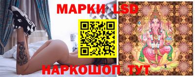 СК Донецк