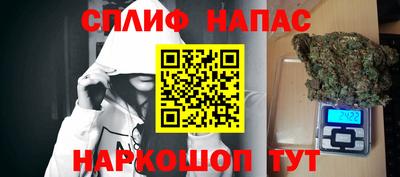 СК Дубна