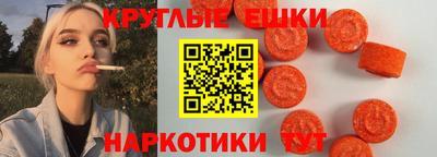 СК Дубна