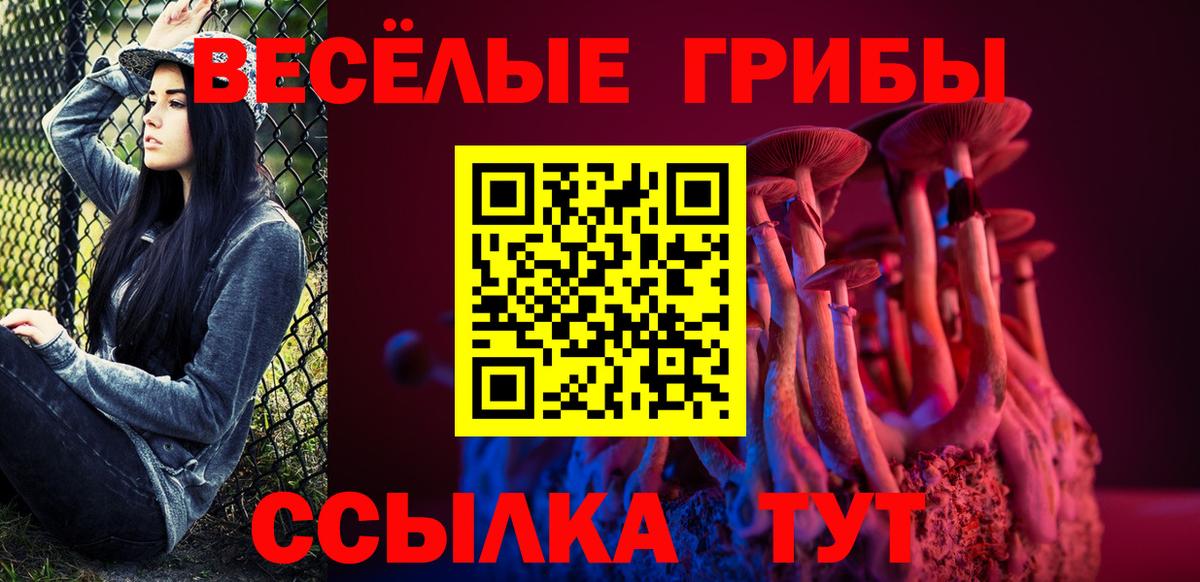 Лесосибирск  Галлюциногенные грибы MAGIC MUSHROOMS  Псилоцибиновые грибы Magic Shrooms  Вход с VPN 